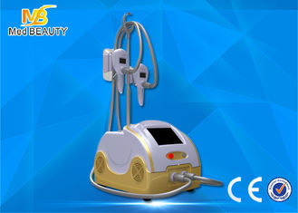 Porcellana Cryo Fat Dissolved Weight Loss Coolsculpting Cryolipolysis Machine fornitore