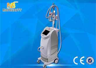 Porcellana Best seller vertical fat freezing cryolipolisis coolsculpting cryolipolysis machine fornitore